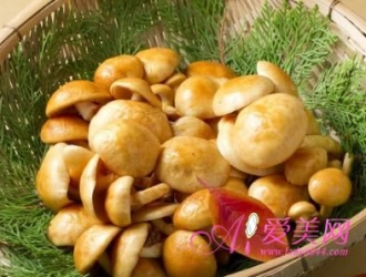 想要健康多吃菇 9种常见野生菌营养价值高