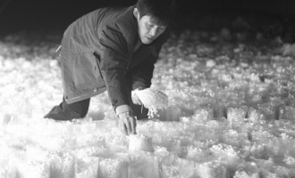 Manbetx体育手机版推荐A9版本“土专家”做大金针菇产业