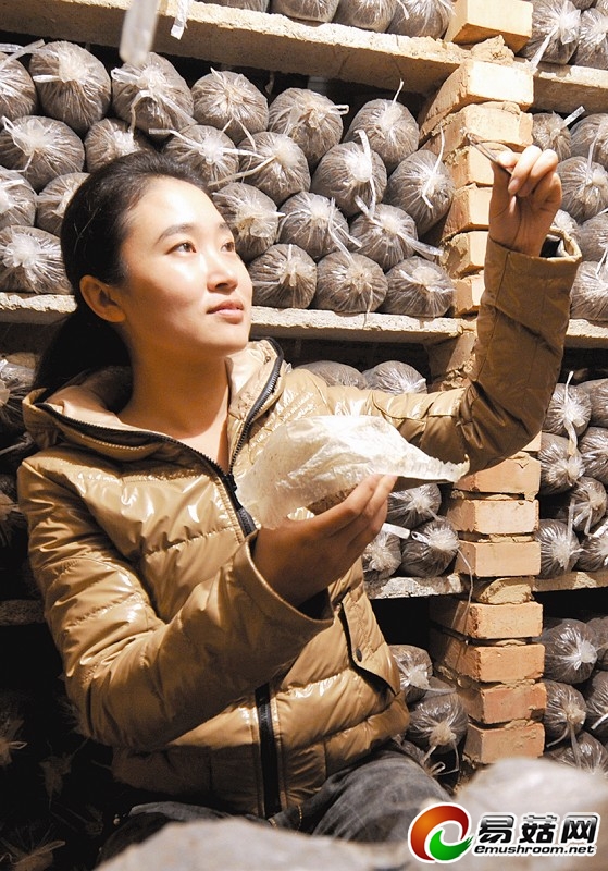 鲍菇&ldquo;村官&rdquo;