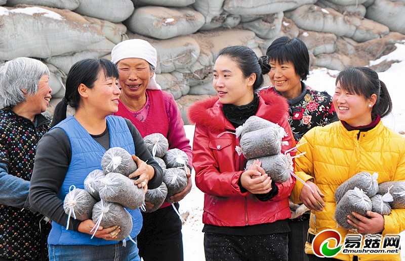 鲍菇&ldquo;村官&rdquo;