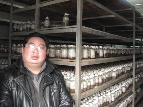 天麻种植大户杨洪述