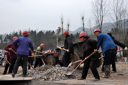 通江县：民胜镇倾力参建中国通江银耳产业园[图]