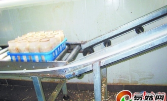 山东青岛胶南大村镇金针菇日产量达10吨