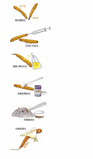 6种主要造假方式