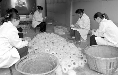 袁大坤 特约记者 张远忠 文/图