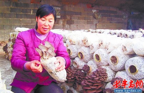 中药渣日&ldquo;产&rdquo;蘑菇2000公斤