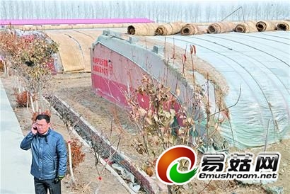 &ldquo;蘑菇大王&rdquo;王秉鸿