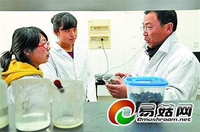 &ldquo;蘑菇大王&rdquo;王秉鸿