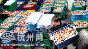 香菇&ldquo;领涨&rdquo;