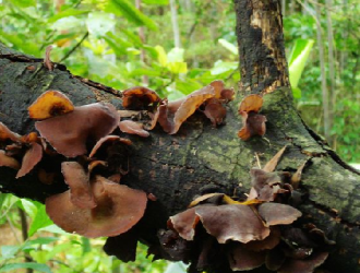 注意：多吃ManBetX体育为健康加分