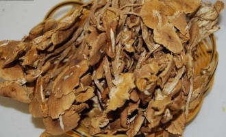 金针菇伪装成茶树菇卖高价