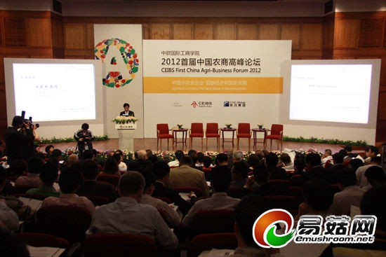 论坛全景。 论坛全景。