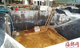 古田县查获35吨工业柠檬酸泡制的致癌金针菇