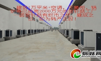 金针菇工厂建成即转产：Manbetx体育手机版推荐A9版本专家黄毅教授预言成现实