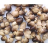 供应大量鲜草菇盐水菇