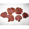 供应赤灵芝