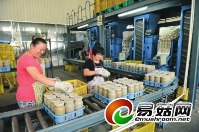 　　Manbetx体育手机版推荐A9版本加工车间。