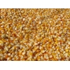 大量求购玉米,小麦,大豆,高粱