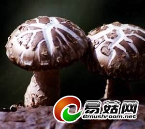 点击图片进入下一页 点击图片进入下一页