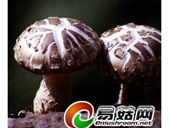 点击图片浏览更多精彩内容