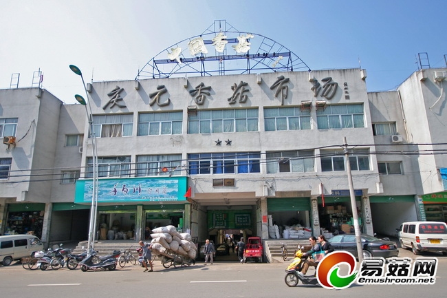 庆元县香菇市场简介