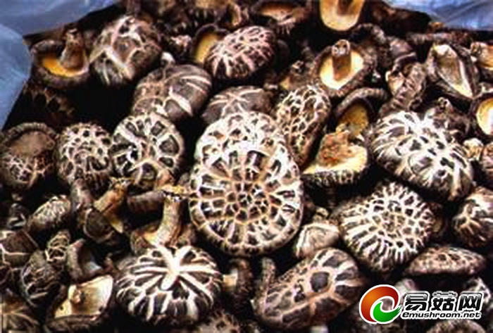 庆元县香菇市场简介