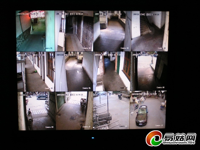 庆元县香菇市场简介