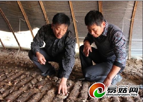 惠民县报道本人在当地的服务