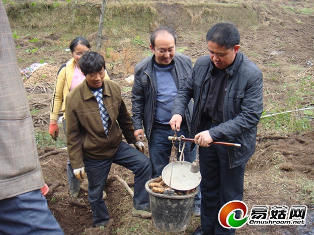大方县科技办现场测产