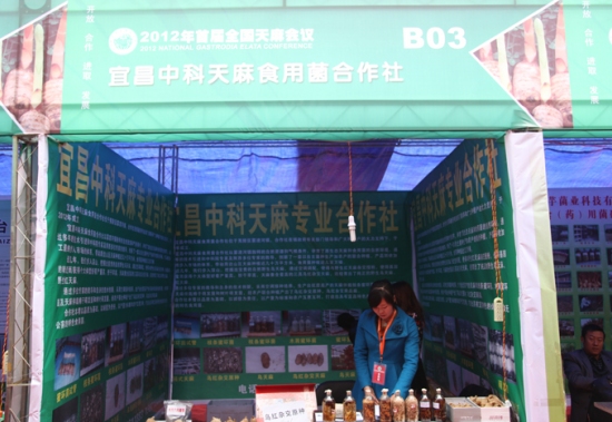 2012年首届全国天麻会议：宜昌中科天麻Manbetx体育手机版V17版本发布.官网安卓网.香港合作社 (1)