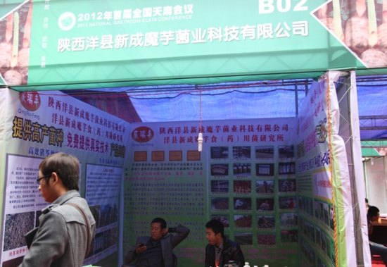 2012年首届全国天麻会议：陕西洋县新成魔芋菌业科技有限公司 (3)