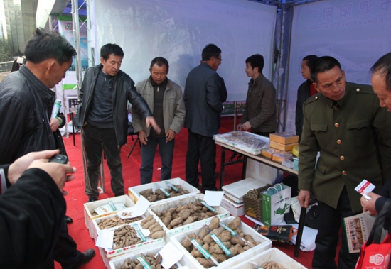 2012年首届全国天麻会议：宜昌市夷陵区状元天麻专业合作社 (3)