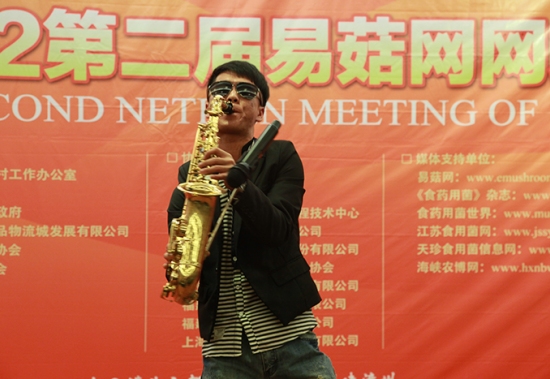 节目表演：乐器表演