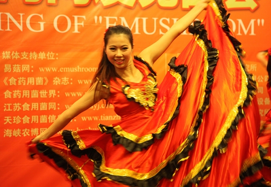 节目表演：舞蹈