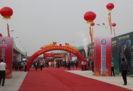 开幕式（现场一） (6)