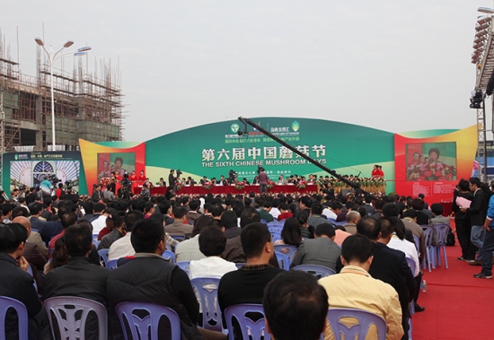 开幕式（现场六） (5)