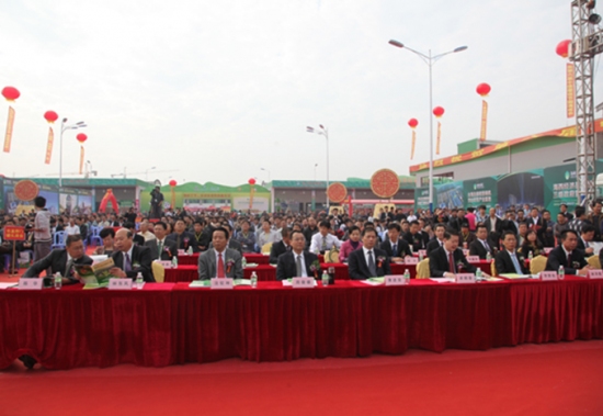 开幕式（现场三） (3)