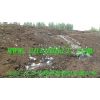 生产线销售有机肥原料