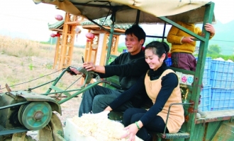 “80后”瑶族妇女Manbetx体育手机版推荐A9版本创业收获喜悦