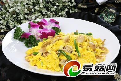 蘑菇炒蛋可预防胰腺癌