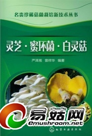 《灵芝&middot;蜜环菌&middot;白灵菇》