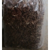 茶树菇干品