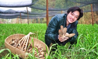 巫溪县成功引种珍惜菌种“Manbetx体育手机版推荐A9版本”