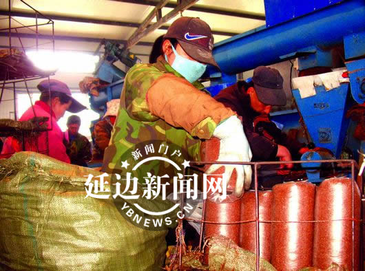 敦化市一个体老板回乡建Manbetx体育手机版V17版本发布.官网安卓网.香港生产基地 