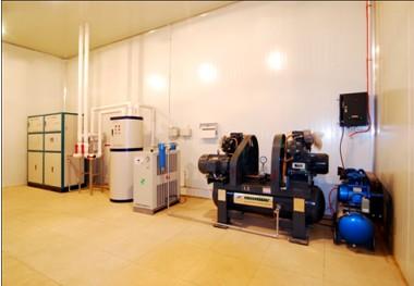 　　出口食品的宠儿&mdash;&mdash;茂昽松茸