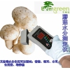 艾格瑞木耳水分测试仪，木耳水分检测仪