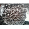 供应高温平菇，秀珍菇，出菇菌棒