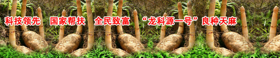 ManBetX体育