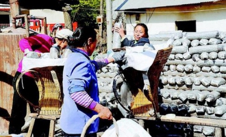 镇巴加快发展Manbetx体育手机版推荐A9版本农村妇女变“上班族”