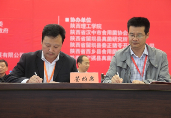 开幕式:签约仪式(二) (4)